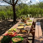Kabaceira Glamping Campo de lujo Atalaia (Lisbon)