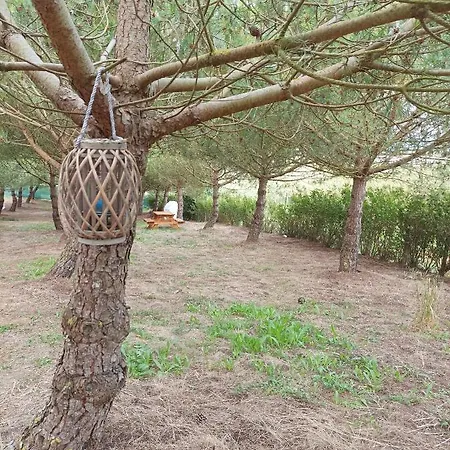 Campo de lujo Kabaceira Glamping Atalaia (Lisbon)