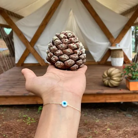 Kabaceira Glamping