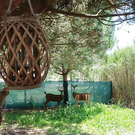 Kabaceira Glamping *